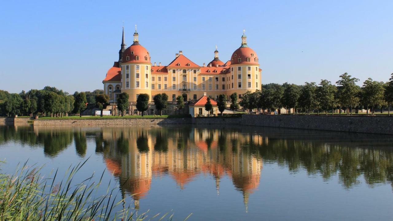 Ruhiges Apartment Am Rande Des Szeneviertels Dresden Exteriör bild